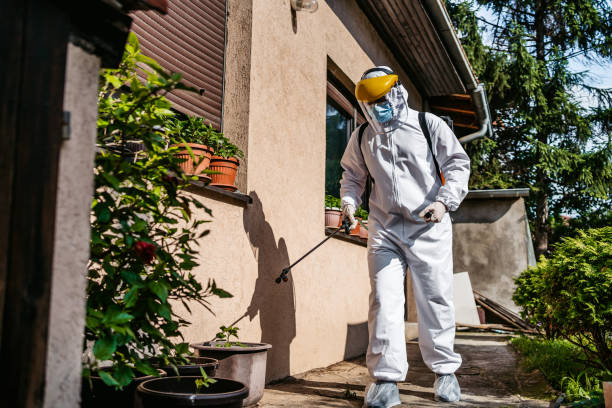 Best Affordable Pest Control Services  in King Of Prussia, PA